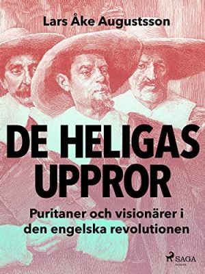  Revolten i Vacina; Den brasilianska flottans uppror mot monarkin och den kämpande revolutionären,  Nils Alves de Almeida